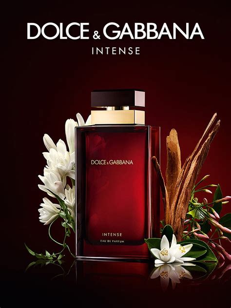 nouveau parfum dolce gabbana homme - dolce and gabbana pour femme intense.